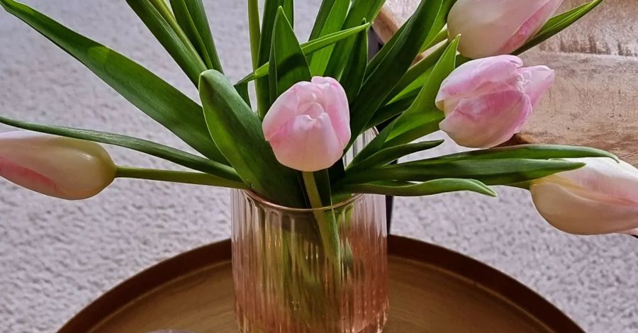 THURSDAY 

When life isn't easy, buy yourself flowers...
Mijn eerste bosje tulpe...