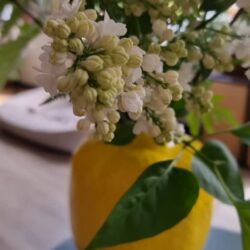 TUESDAY A touch of S…