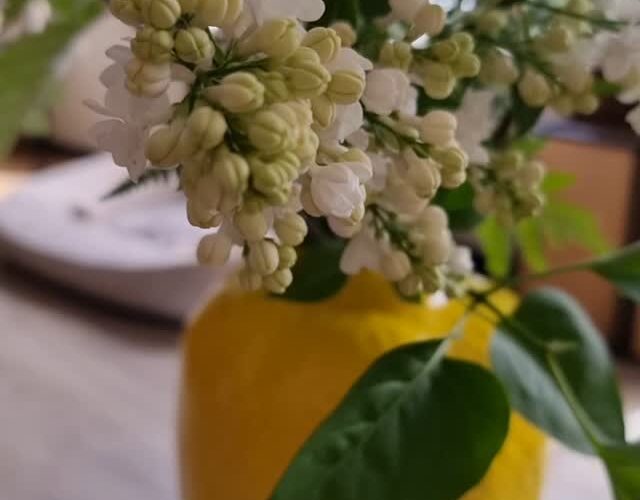 TUESDAY A touch of S P R…