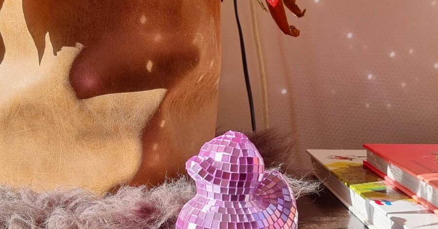 MONDAY 

ALL THAT GLITTERS 

Mijn nieuwe eendje in de zon
De zon staat weer lager en zorgt voor prachtige reflecties in huis.
Ik hou ervan. Alle kleur...