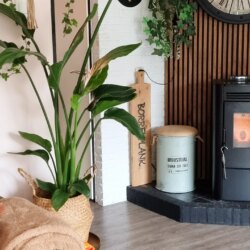 THURSDAY Toch maar even een…