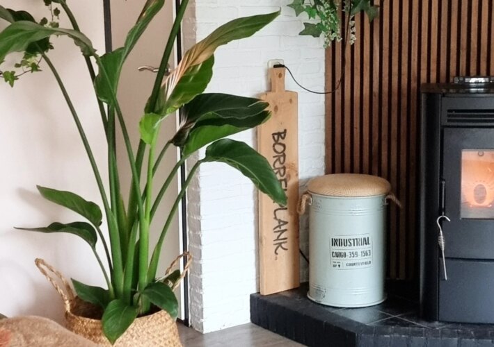 THURSDAY Toch maar even een photo dump…