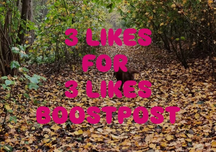 T IJ D E L IJ K E P O S T 

Zullen we elkaar deze zondag weer even boosten? Doe dan gezellig mee met deze like post
 volg mij
 like 3 posts
 reageer m...