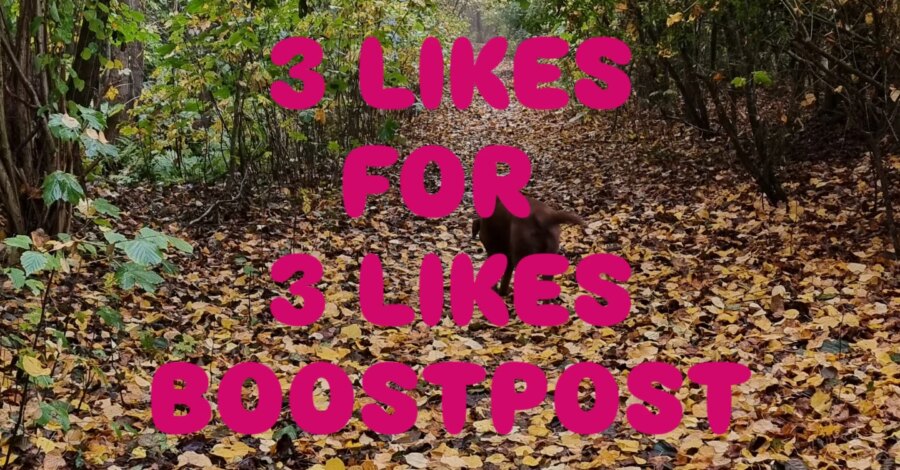 T IJ D E L IJ K E P O S T 

Zullen we elkaar deze zondag weer even boosten? Doe dan gezellig mee met deze like post
 volg mij
 like 3 posts
 reageer m...