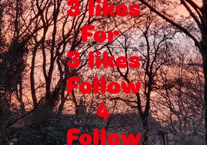 TUESDAY 

Tijdelijke post
Je weet hoe het werkt, doe je gezellig mee, even wat liefde rondstrooien
.
.
.
#follow4followback #likeforlikes 
#engagement...