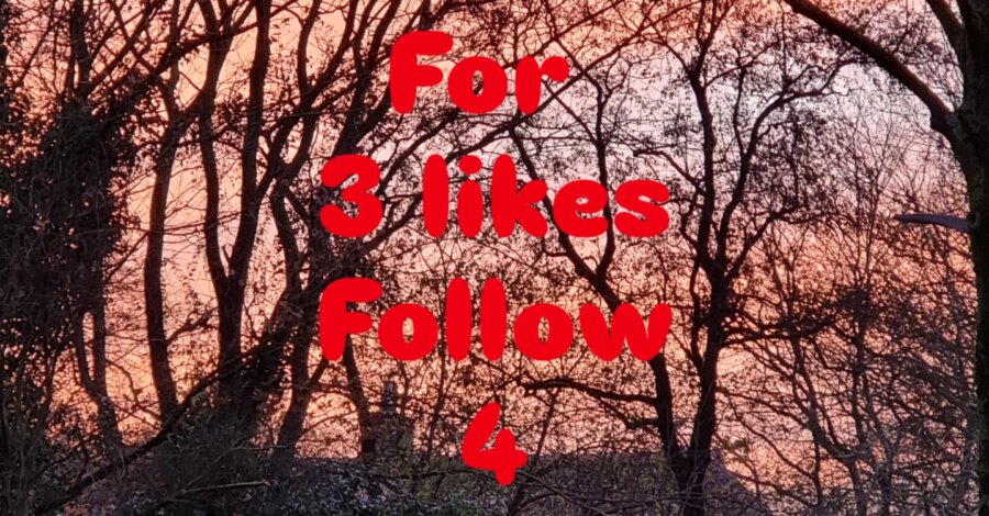 TUESDAY 

Tijdelijke post
Je weet hoe het werkt, doe je gezellig mee, even wat liefde rondstrooien
.
.
.
#follow4followback #likeforlikes 
#engagement...