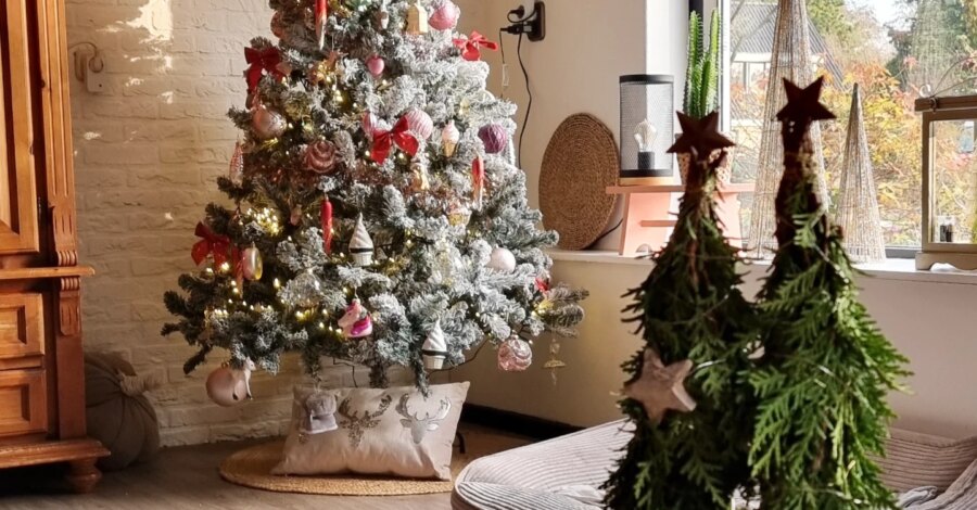 TUESDAY 

Jaaa, hier is het inmiddels ook kerst in huis
Ik ben al lekker bezig geweest met takken, ballen, slingers en lichtjes 
Thema  Van alles en n...