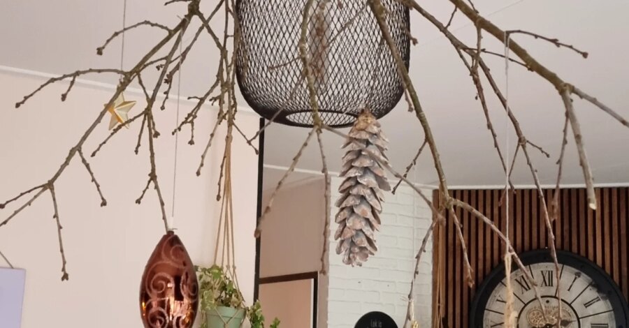 TUESDAY 

T A K K E N W I J F 

Ik heb een zwak voor mooie takken.
Dus toen ik tijdens een wandeling met Spike een berg met snoeiafval tegenkwam moest...