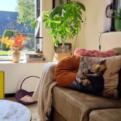SUNDAY Zomaar random een plaatje&hellip;
