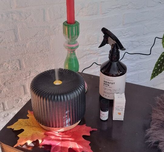 WEDNESDAY 

Tell me you love autumn, without telling me you love autumn 
Check nu de heerlijke geur herfstzon van @geurwolkje 
Nu ook verkrijgbaar in ...